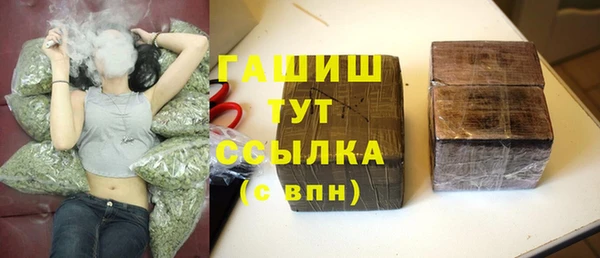 гашик Бородино