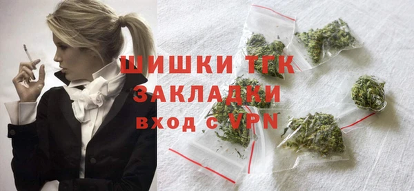 гидра Вязьма